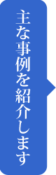 主な事例を紹介します